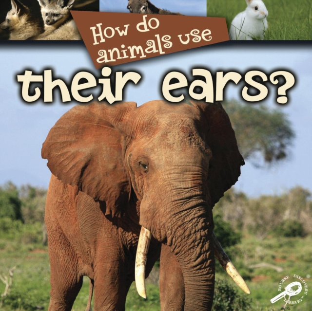 How Do Animals Use... Their Ears?, PDF eBook