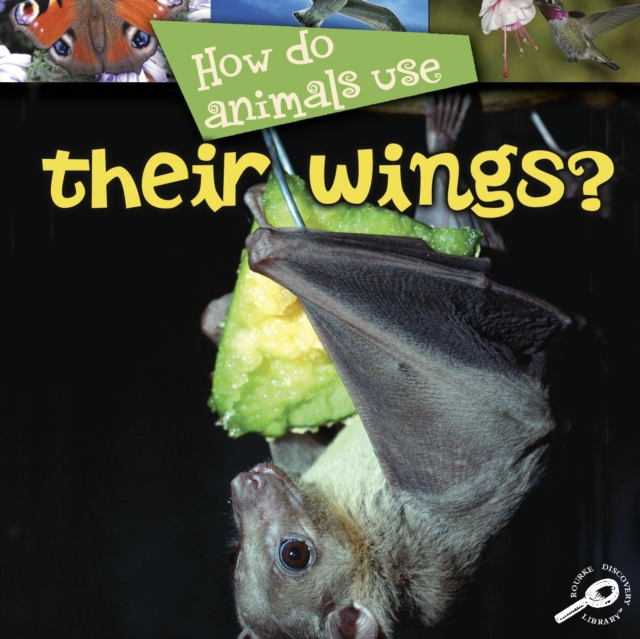 How Do Animals Use... Their Wings?, PDF eBook