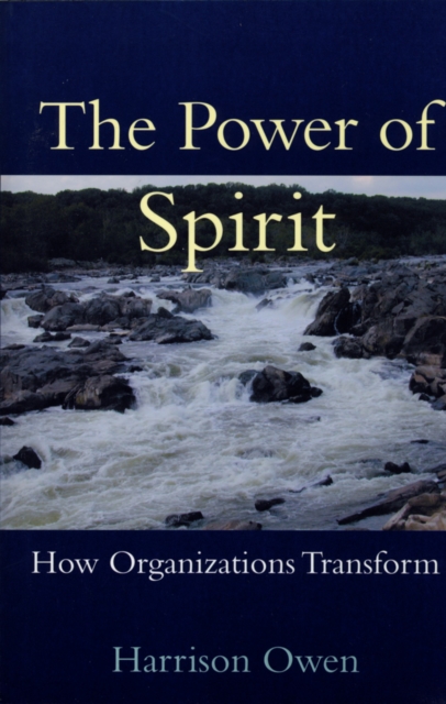 The Power of Spirit : How Organizations Transform, PDF eBook