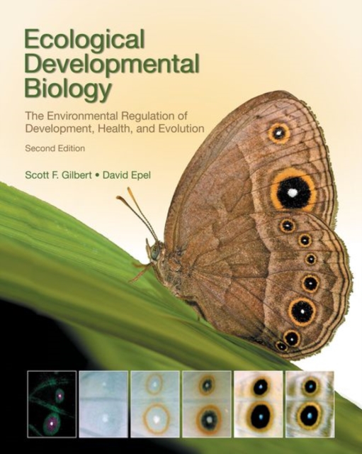 Ecological Developmental Biology, Paperback / softback Book