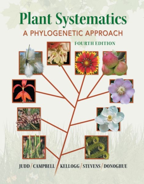 Plant Systematics : A Phylogenetic Approach, Paperback / softback Book
