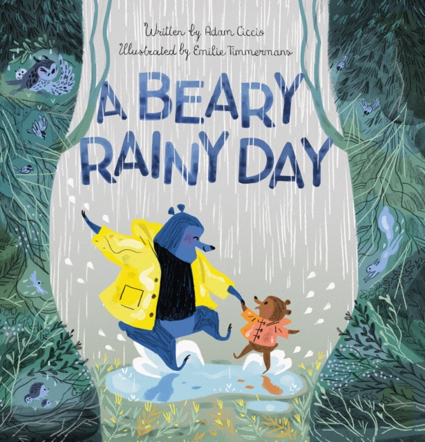 A Beary Rainy Day, Hardback Book