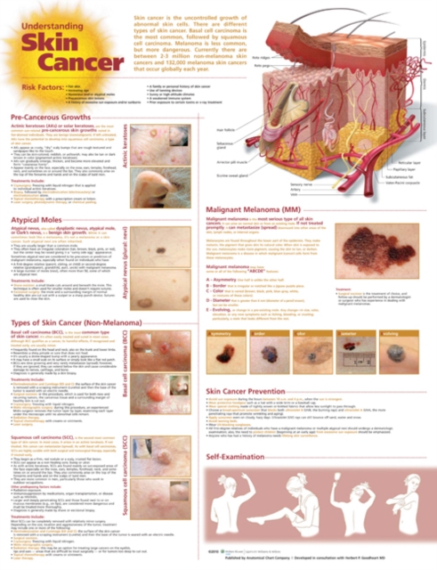 Understanding Skin Cancer Anatomical Chart, Wallchart Book