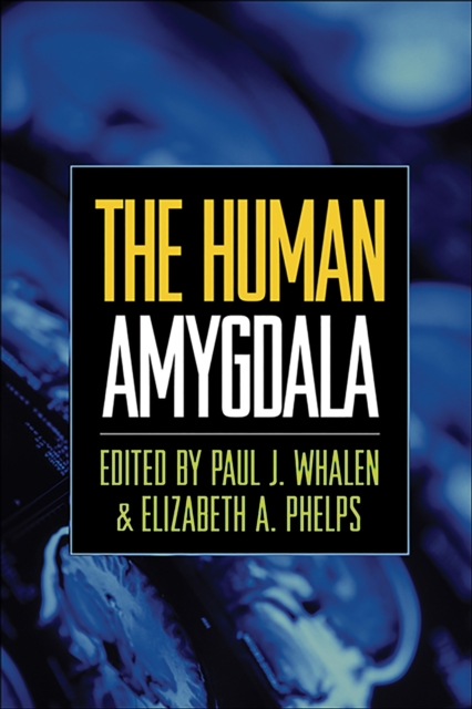 The Human Amygdala, PDF eBook