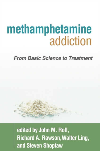 Methamphetamine Addiction : From Basic Science to Treatment, EPUB eBook