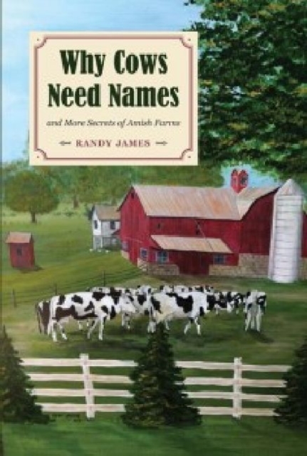 Why Cows Need Names And More Secrets of Amish Farms, Paperback / softback Book