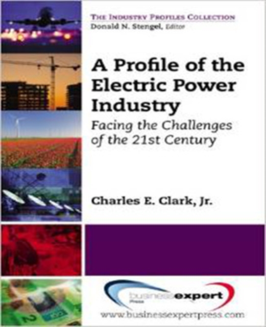 A Profile of the Electric Power Industry, Paperback / softback Book