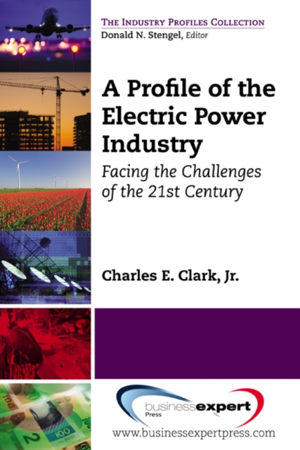 A Profile of the Electric Power Industry : Facing the Challenges of the 21st Century, EPUB eBook