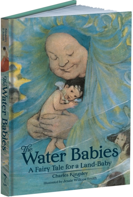 The Water Babies : A Fairy Tale for a Land-Baby, Hardback Book