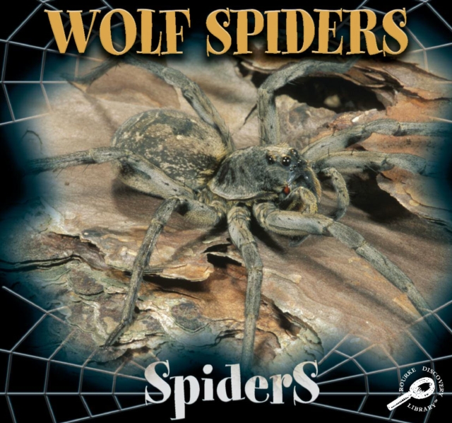 Wolf Spiders, PDF eBook