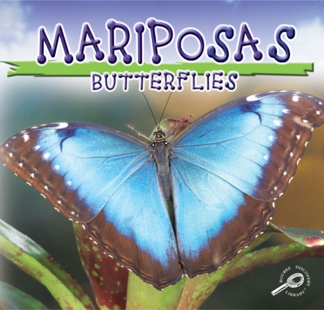 Mariposas : Butterflies, PDF eBook