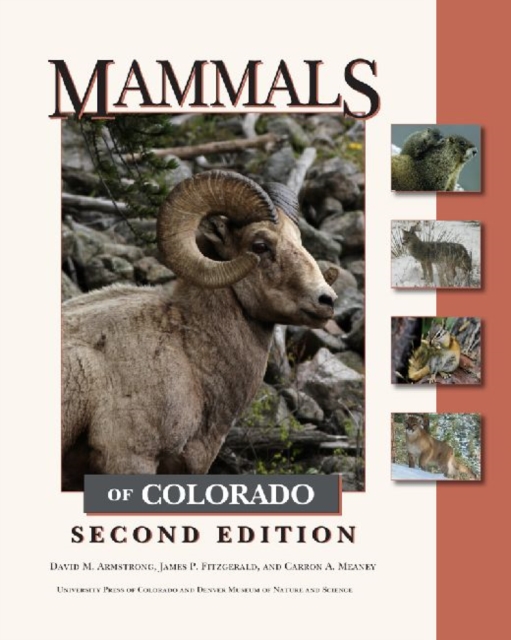 Mammals of Colorado, Hardback Book