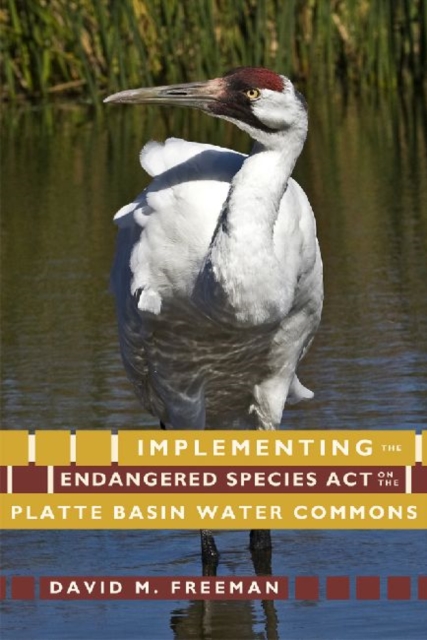 Implementing the Endangered Species Act on the Platte Basin Water Commons, Paperback / softback Book