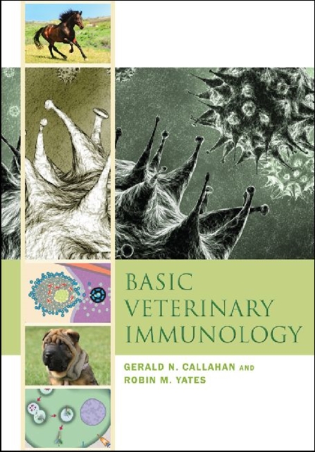 Basic Veterinary Immunology, Paperback / softback Book