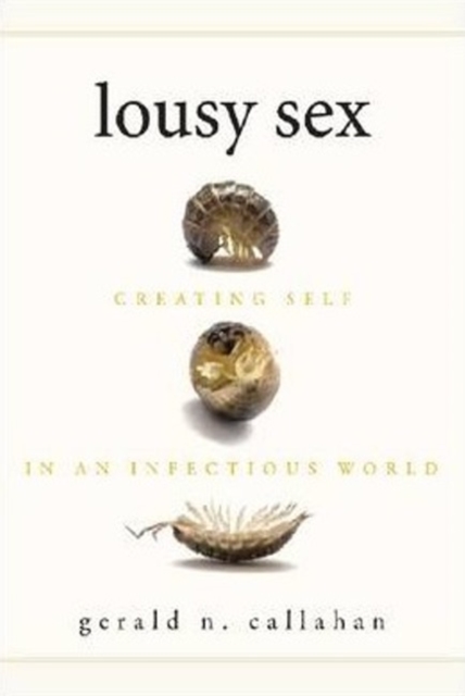 Lousy Sex, Paperback / softback Book