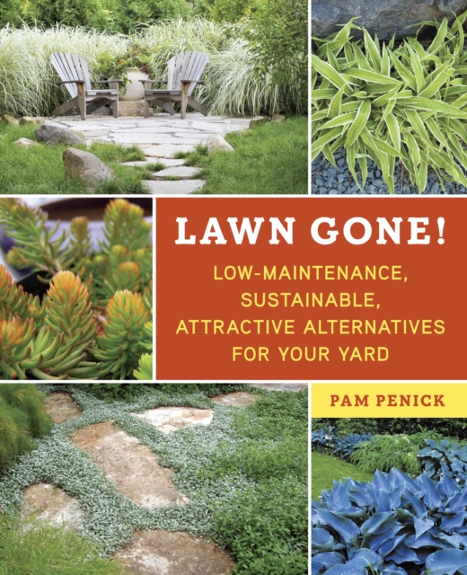 Lawn Gone! : Low-Maintenance, Sustainable, Attractive Alternatives for Your Yard, Paperback / softback Book