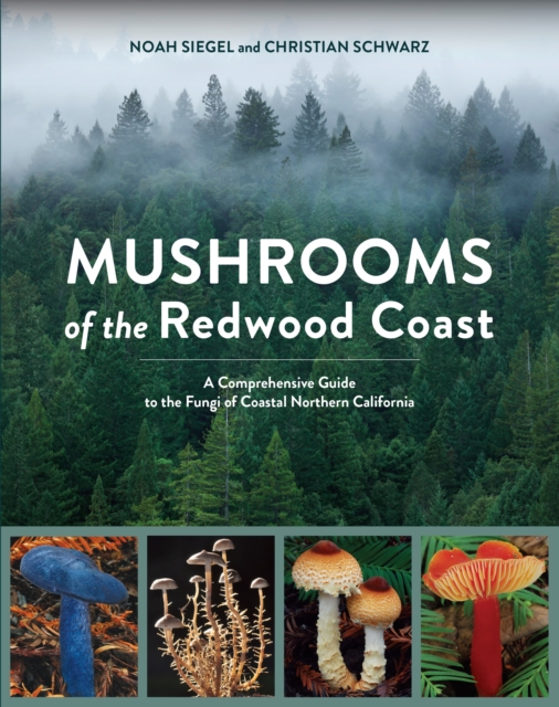 Mushrooms of the Redwood Coast : A Comprehensive Guide to the Fungi of Coastal Northern California, Paperback / softback Book
