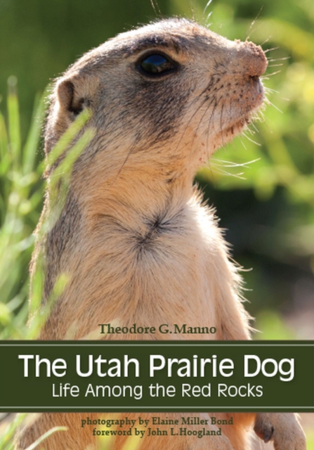 The Utah Prairie Dog : Life among the Red Rocks, Paperback / softback Book