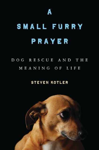 A Small Furry Prayer : Dog Rescue and the Meaning of Life, EPUB eBook