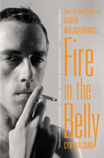 Fire in the Belly : The Life and Times of David Wojnarowicz, EPUB eBook