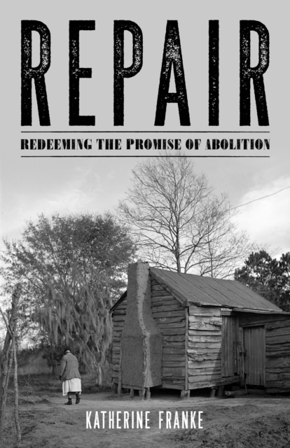 Repair : Redeeming the Promise of Abolition, PDF eBook