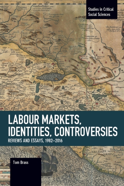 Labour Markets, Identities, Controversies : Reviews and Essays, 1982-2016, Paperback / softback Book