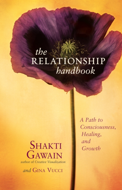 The Relationship Handbook : A Path to Consciousness, Healing, and Growth, EPUB eBook