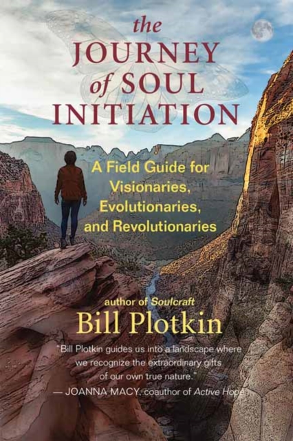 The Journey of Soul Initiation : A Field Guide for Visionaries, Revolutionaries, and Evolutionaries, Paperback / softback Book