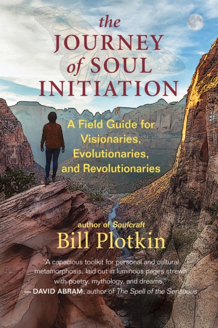 The Journey of Soul Initiation : A Field Guide for Visionaries, Evolutionaries, and Revolutionaries, EPUB eBook