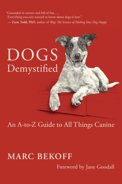 Dogs Demystified : An A-to-Z Guide to All Things Canine, EPUB eBook