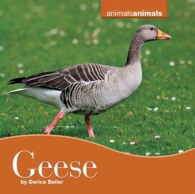 Geese, PDF eBook