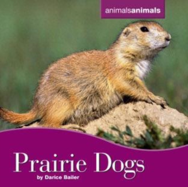 Prairie Dogs, PDF eBook