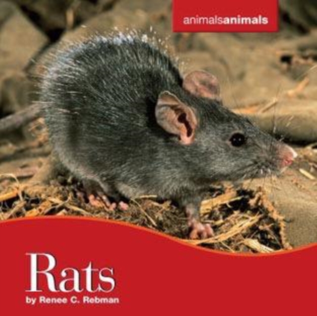 Rats, PDF eBook
