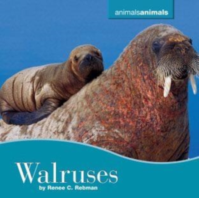 Walruses, PDF eBook