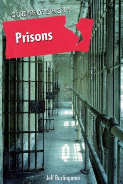 Prisons, PDF eBook
