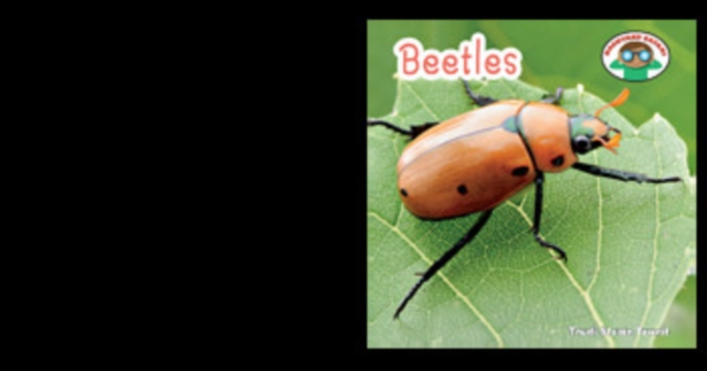 Beetles, PDF eBook