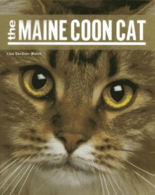 The Maine Coon Cat, Paperback / softback Book
