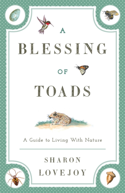 A Blessing of Toads : A Guide to Living with Nature, EPUB eBook
