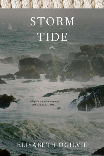 Storm Tide, Paperback / softback Book