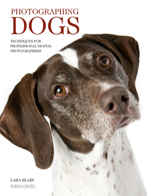 Photographing Dogs : Techniques for Professional Digital Photographers, PDF eBook