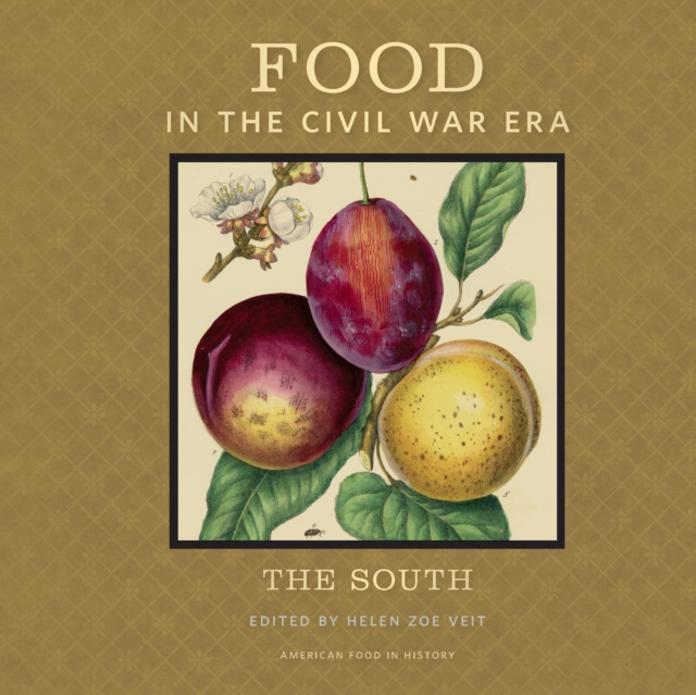 Food in the Civil War Era : The South, PDF eBook