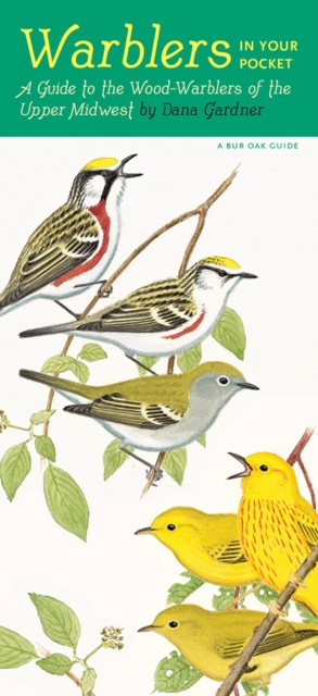 Warblers in Your Pocket : A Guide to Wood-Warblers of the Upper Midwest, PDF eBook