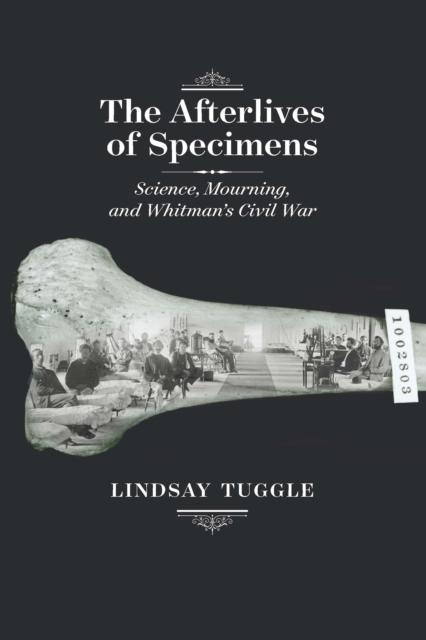 The Afterlives of Specimens : Science, Mourning, and Whitman's Civil War, EPUB eBook