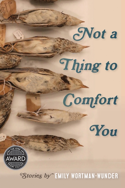 Not a Thing to Comfort You, Paperback / softback Book