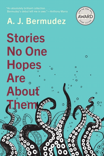 Stories No One Hopes Are about Them, Paperback / softback Book