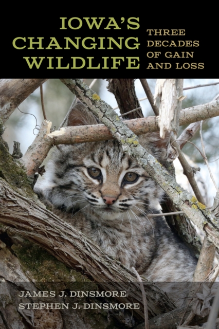 Iowa's Changing Wildlife : Three Decades of Gain and Loss, Paperback / softback Book