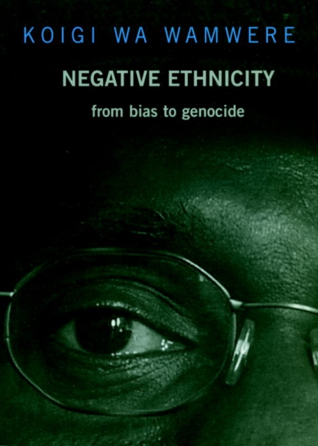Negative Ethnicity, EPUB eBook