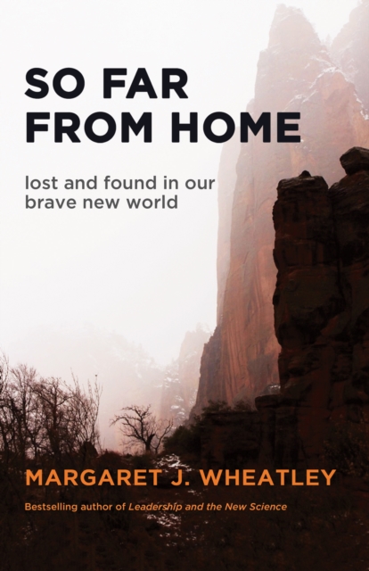 So Far from Home : Lost and Found in Our Brave New World, EPUB eBook