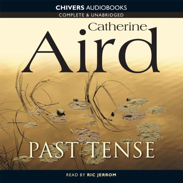 Past Tense, eAudiobook MP3 eaudioBook