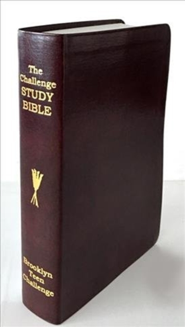 CEV Challenge Study Bible-Flexi Cover, Leather / fine binding Book